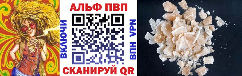 где найти Котлас APVP Соль