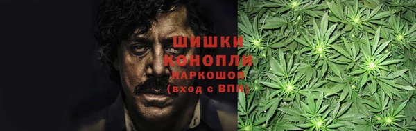 прущие грибы Новодвинск
