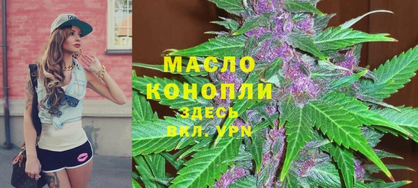 прущие грибы Новодвинск