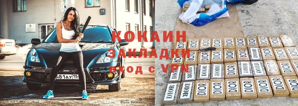 прущие грибы Новодвинск