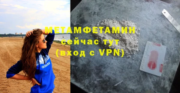 прущие грибы Новодвинск