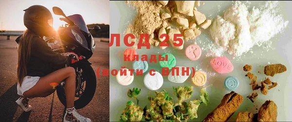 мдпв Новозыбков