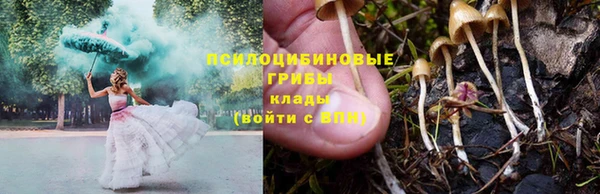 хмурый Нефтекумск