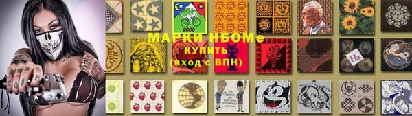 прущие грибы Новодвинск