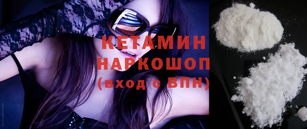 прущие грибы Новодвинск