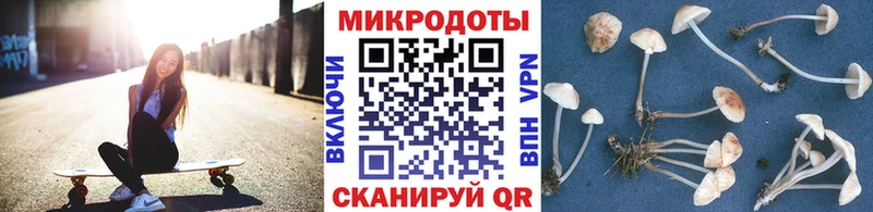 продажа наркотиков  Котлас  Галлюциногенные грибы Psilocybe 
