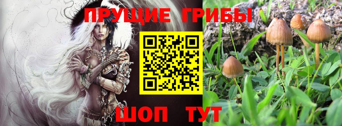Галлюциногенные грибы ЛСД Котлас